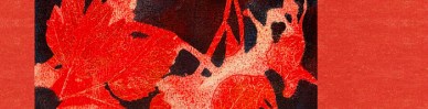 Gel-Printing-and-Mixed-Media__STweb
